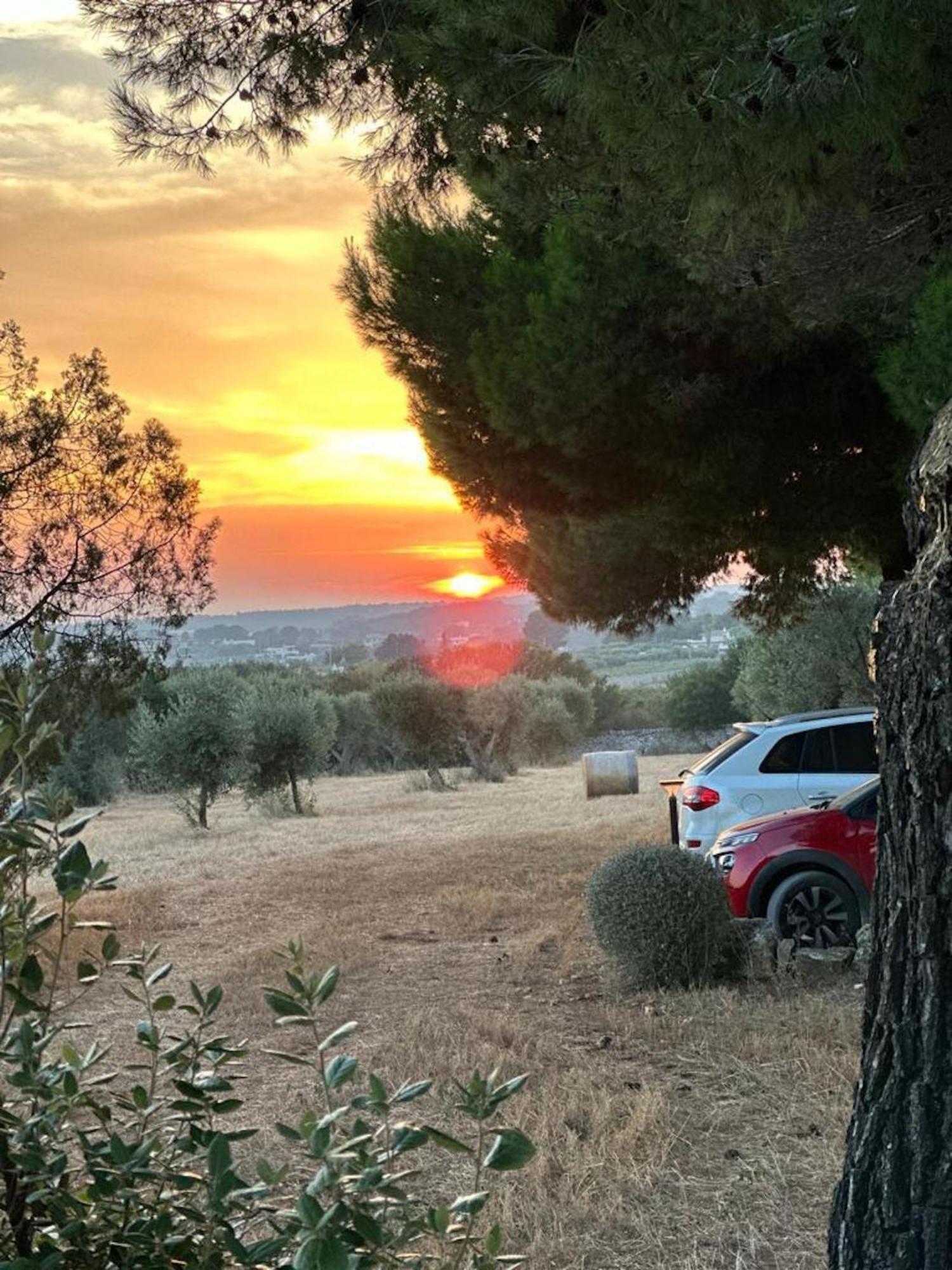 Masseria Battaglini Martina Franca Ngoại thất bức ảnh